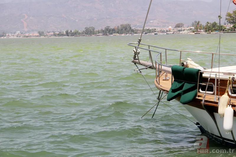 Fethiye Körfezi'nde alarm! Sarı ve yeşile büründü 6