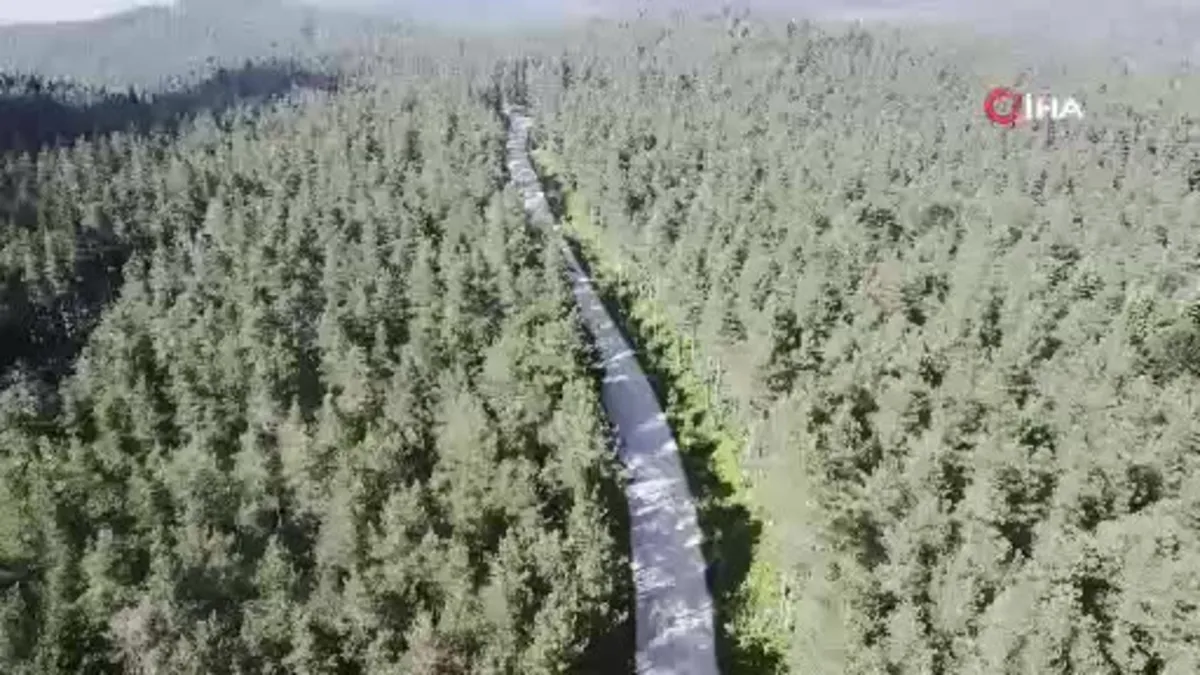 Sıcaktan bunalanların serinleme mekanı