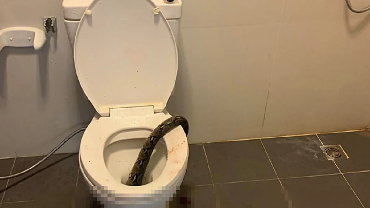 Pornoda orgazm bolgan qizlar Korsetlarda lesbiyan jinsiy aloqani tomosha qiling