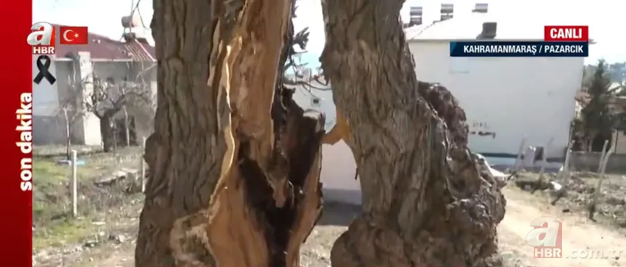 Görenler hayrete düştü! DEPREMİN merkez üssü Kahramanmaraş Pazarcık'ta ÇARPICI manzara... A Haber muhabiri: Meslek hayatımda ilk kez... 11
