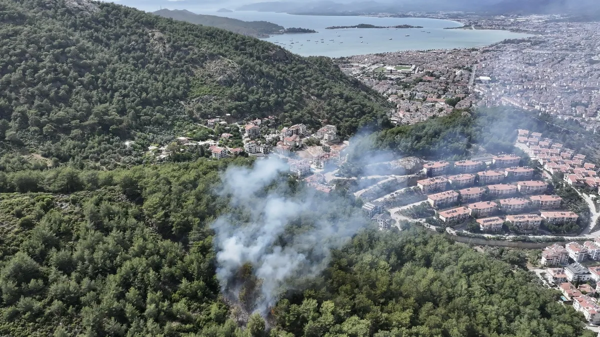 Fethiye'de orman yangını! Alevler kontrol altında