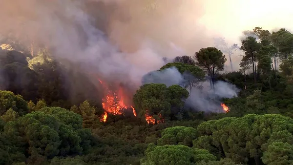 Maltepe Başıbüyük'teki orman yangınıyla ilgili 1 kişi gözaltına alındı! DHKP-C ve PKK izi var... - 1
