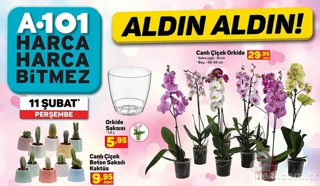 A101'de bu perşembe hangi ürünler indirimli olacak? 11 Şubat 2021 A101 aktüel ürünler kataloğu dolu dolu 12