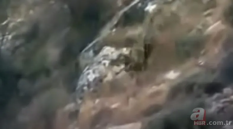 Dev kartalın nefes kesen kurt avı! Anne kurdun hatası pahalıya mal oldu 11