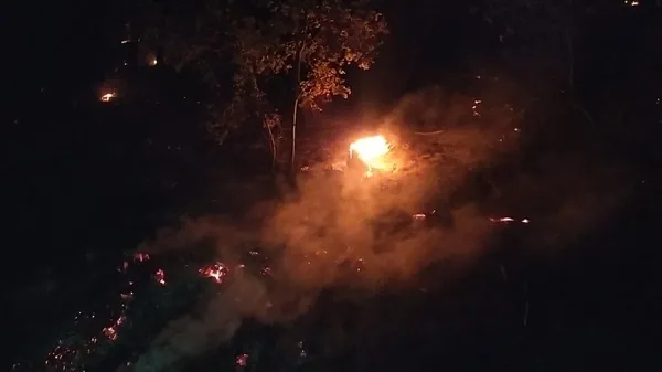 Son dakika: Adana’nın Kozan ilçesinde orman yangını - 6