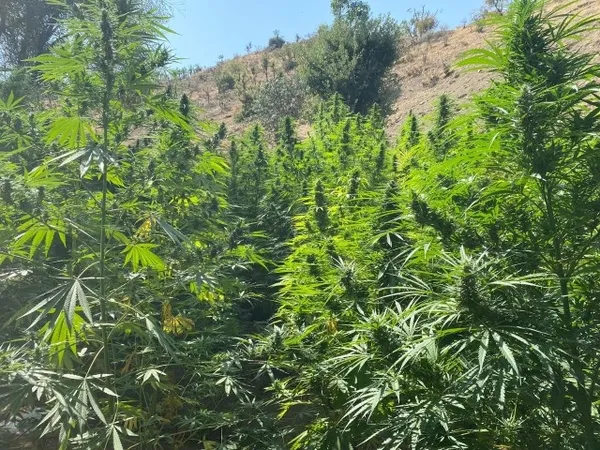 Diyarbakır’da terörün finans kaynağına darbe üzerine darbe vuruluyor