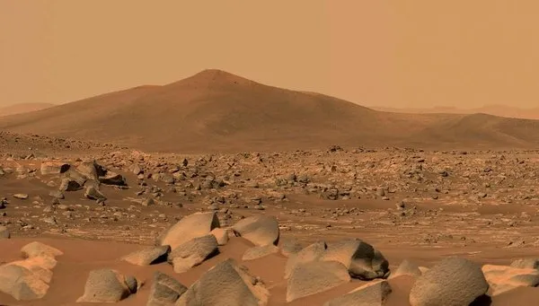 Mars hakkında flaş iddia! NASA mikropları taşıdı mı? - 1