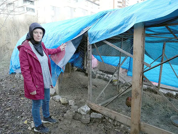1702282882093.jpg Sokak köpekleri 40 tavuğu birden telef etti! Kastamonu'da vatandaş isyan etti: Yetkililerden yardım bekliyoruz - 1