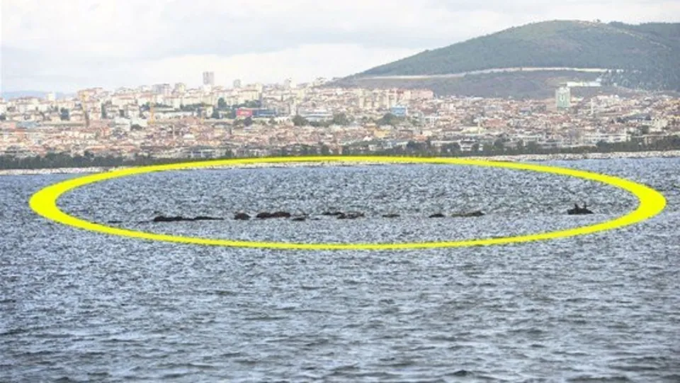 İstanbul’un kayıp adası Vordonisi