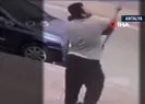 Teldeki kuşu kurtarmak isterken...