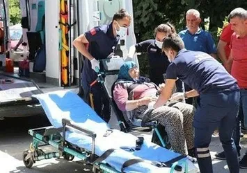 Son dakika: Bolu'da kabus! Zehirlenmelerin nedeni belli oldu | Uzman isimden HÜS'ün kapsadığı hastalıklar hakkında flaş açıklama