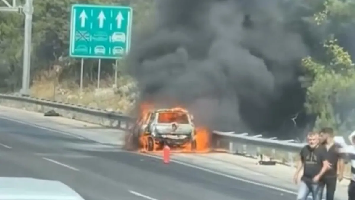 Adana'da orman yangını! Otoyoldaki araçtan çıkan alevler sıçradı