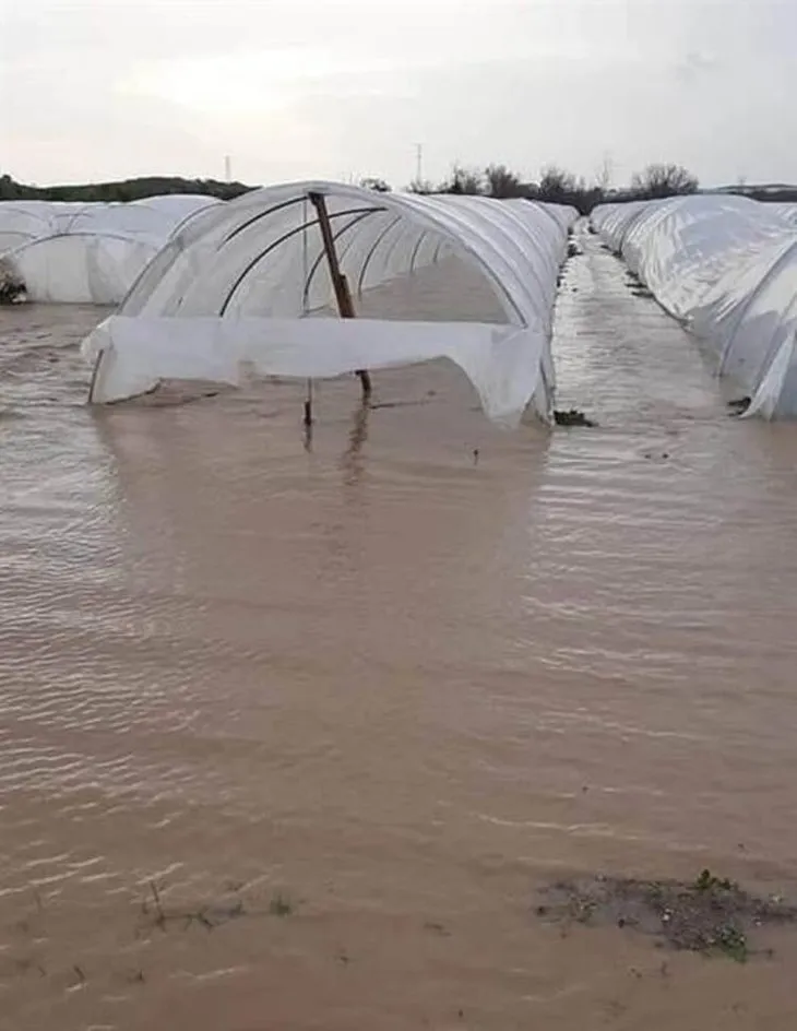 Antalya'yı fırtına yıktı geçti! Uçaklar inemedi, ağaçlar devrildi, araçlar mahsur kaldı