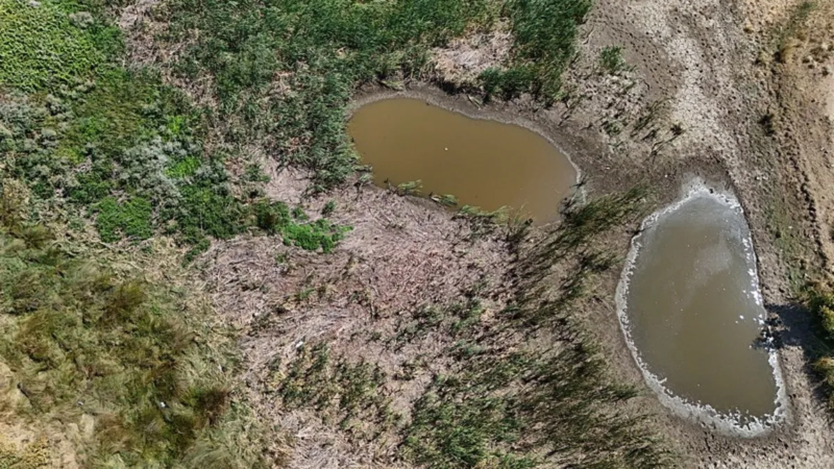 Sazlık Göleti kuraklık nedeniyle kuruma noktasına geldi!