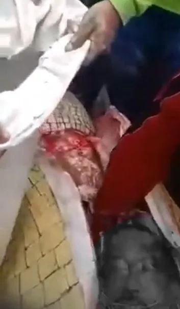 Timsahın karnından insan çıktı! Kan donduran anlar böyle görüntülendi...
