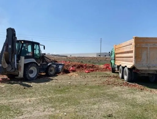 Aksaray’da hainliğin bu kadarına da pes dedirten görüntü! Tonlarca kuru soğan boş araziye döküldü: Valilik harekete geçti
