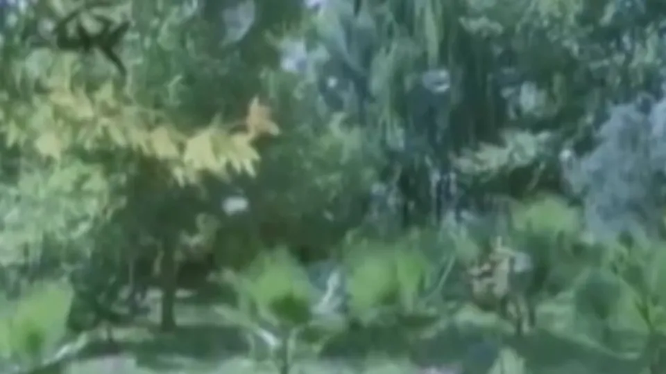 ’’Dağlar seni delik delik delerim’’