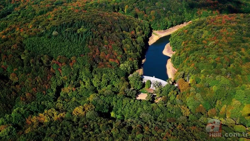 OGM personel alımı başvurusu nasıl yapılır? 3850 Orman Genel Müdürlüğü personel alımı başvuru şartları nelerdir? 7