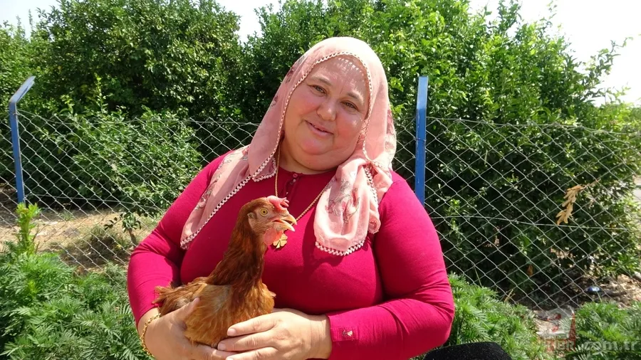 Tavuk kümesine girince gözlerine inanamadı 🥚 Günlük yumurtalarının üstünde adı ve soyadının baş harflerini gördü 🐔 7