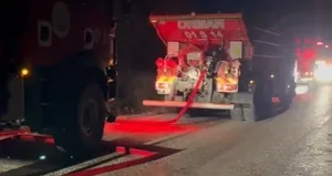 Adana’da orman yangını büyümeden söndürüldü