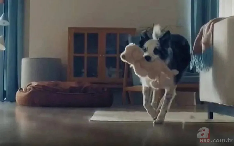 "Bosch" zihniyet: Almanya'da çocuklu Türkiye'de köpekli Anneler Günü reklamı 1