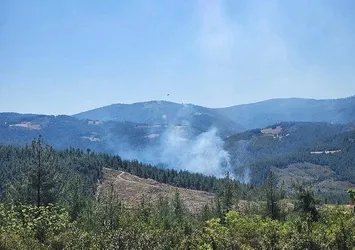 Bursa'da ormanlık alanda çıkan yangın kontrol altına alındı