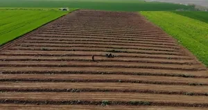 Depremzede çiftçilerin mesaisi başladı!