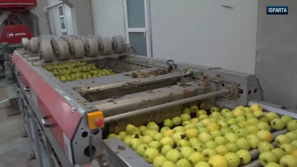 Isparta elması 10 ülkeye ihraç ediliyor