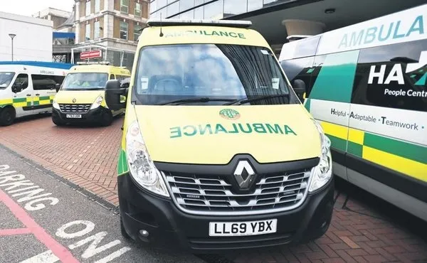 Galler’de yardım kuruluşu görevlisinin söyledikleri kan dondurdu: Yokluktan evcil hayvan maması yiyenleri gördüm