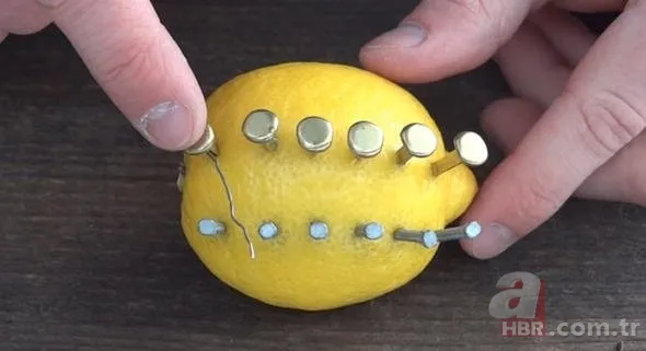 Sosyal medyayı sallayan köpek balığı deneyi yürekleri ağızlara getirdi! Okyanusa kan döküp bekledi ve... 21