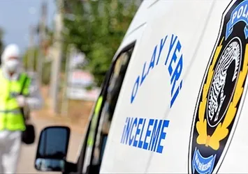 Kastamonu'da ağaçtan düştü! Hayatını kaybetti