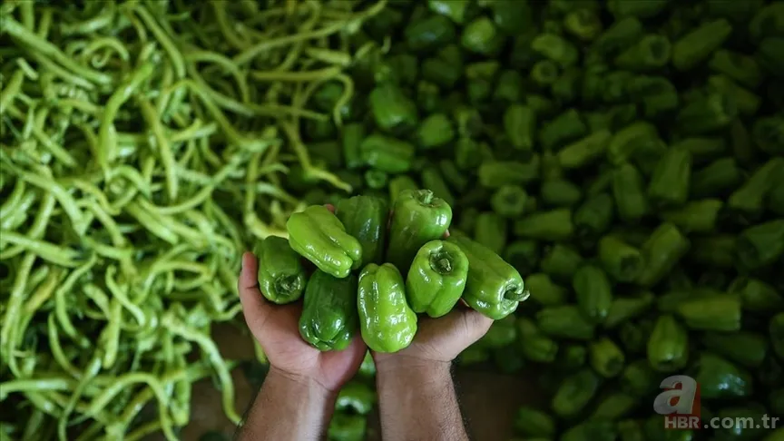 Anneler haklı çıktı! Tazesini bırakın: Uzmanlara göre buzlukta olması gereken altı sebze 6