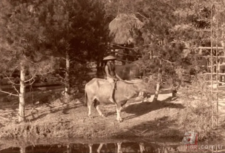Sözde medeniyetin gerçek yüzü! Avrupa’nın utanç tarihi: Hayvanat bahçelerinde insan kafesleri 6