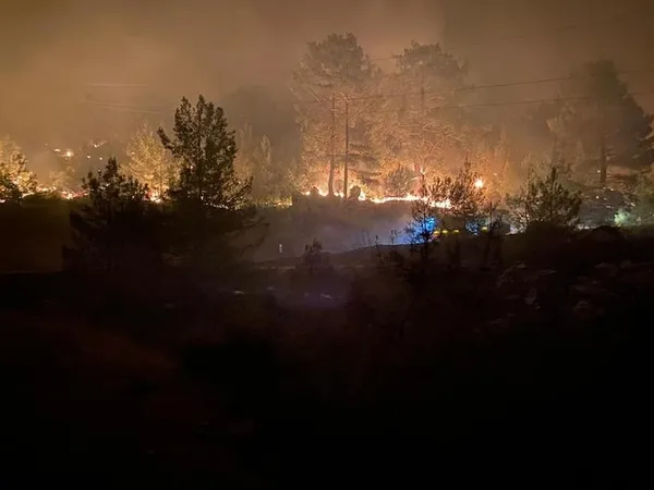 mugladaki-orman-yangininda-yalan-teroru-1627729201932.jpg Muğla'daki orman yangınında yalan terörü! - 1
