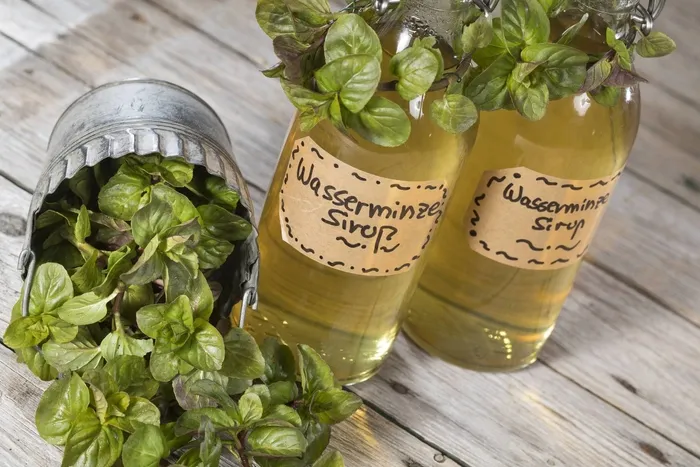 Hem lezzetli hem de şifa kaynağı! Nane çayının bilinmeyen faydaları...