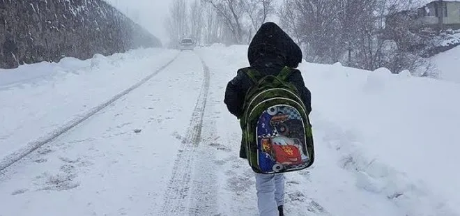Son dakika: Van Başkale ile Bahçesaray ile Hakkari merkez ve Yüksekova’da okullara kar tatili