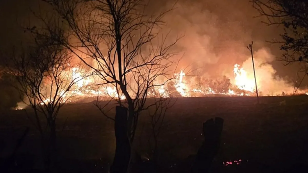 Elazığ'da anız yangını: 100 hektarlık alan küle döndü