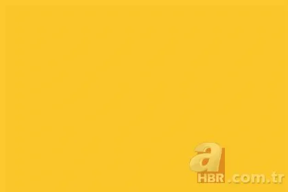 Türklerin soyu nereden geliyor? İşte şehir şehir Türk boyları...