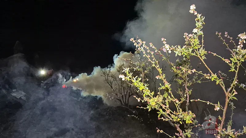 Şehir şehir zarar gören ürünler listesi: Fındık, Ceviz, Kiraz... Türkiye'de Zirai Don Haritası ortaya çıktı! 2