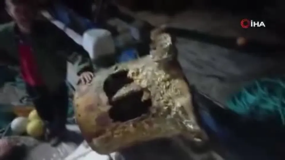 Muğla’da balıkçıların ağına takıldı! Görünce hayrete düştüler! Onlarca kiloluk…