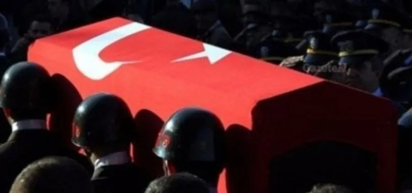 Barış Pınarı Harekatı şehitleri memleketlerine uğurlandı
