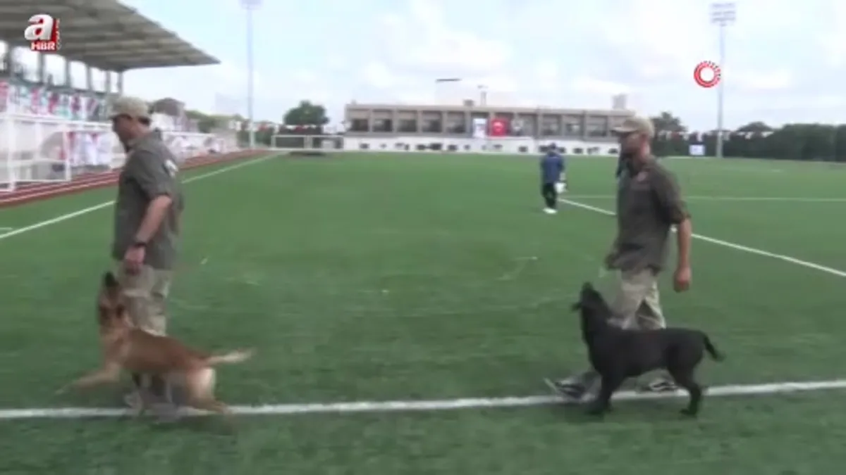 9 ülkeden 27 arama kurtarma köpeği İstanbul’daki şampiyonada yarıştı