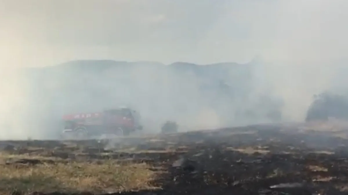 Ankara'da tarım arazisinde yangın! Alevler 3 saatte kontrol altına alındı
