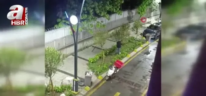 İstanbul’da bir şahıs tahtaları söküp saldırdığı ağaçla kavga etti: O anlar kamerada