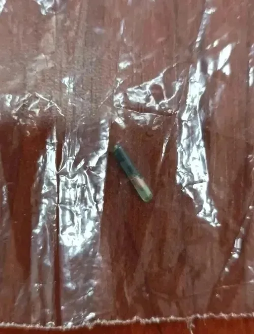 asevi-kavurmasindan-yaris-ati-cikti-skandalda-carpici-gelisme-yasandi-1775057556451.jpeg Aşevi kavurmasından yarış atı çıktı! Skandalda çarpıcı gelişme yaşandı - 3