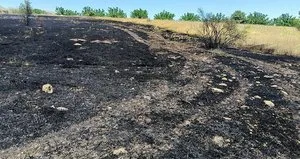 Malatya’da korkutan yangın