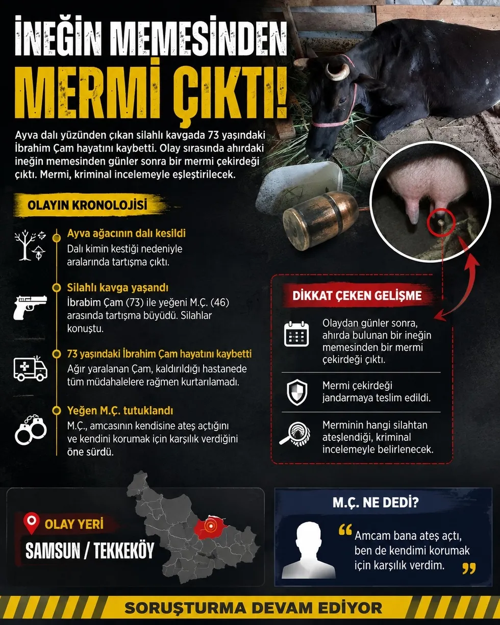 amca-yegen-kavgasinda-inek-vuruldu-kursun-memesine-saplandi-1787643766788.jpeg Amca yeğen kavgasında inek vuruldu! Kurşun memesine saplandı - 1