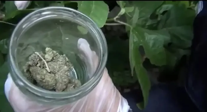 sarkici-kalben-adli-kontrolle-serbest-birakildi-yurt-disina-cikamayacak-1715241275631.jpeg Şarkıcı Kalben'den ilk açıklama geldi! Sağlık durumunu paylaştı! Adli kontrolle serbest bırakılmıştı... - 2