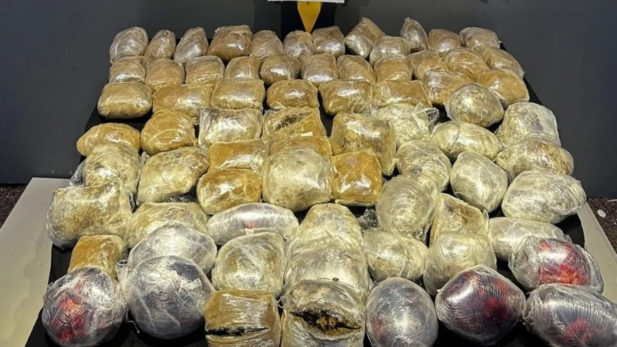 Malatya'da 44 kilogram skunk ele geçirildi