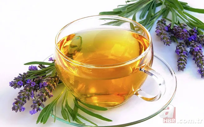 Adaçayı... Ihlamur... Kuşburnu... Hepsi doğal şifa deposu! Hangi bitki çayı neye iyi geliyor? İşte yanıtı... 20